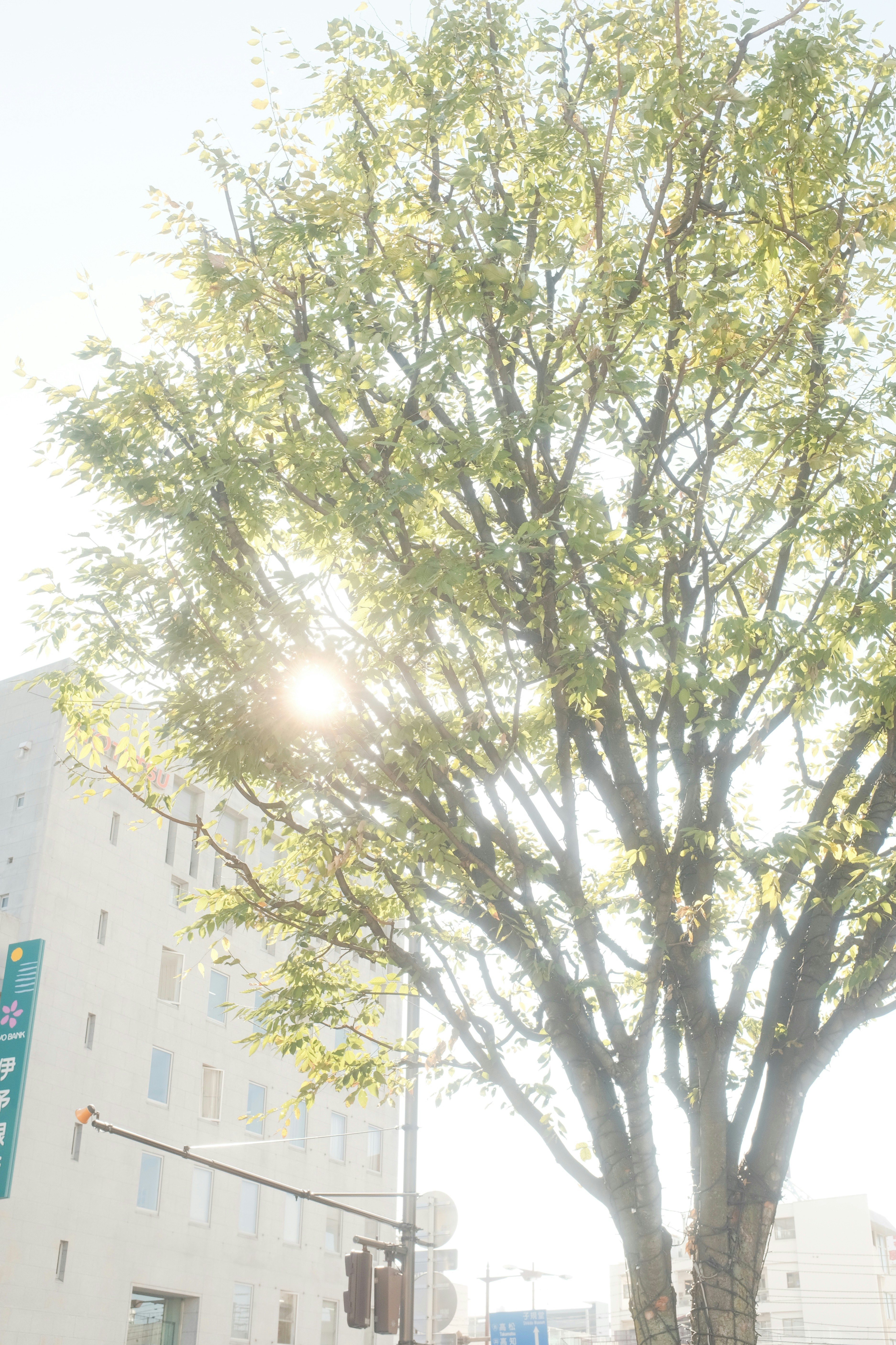 Photo by mak_jp