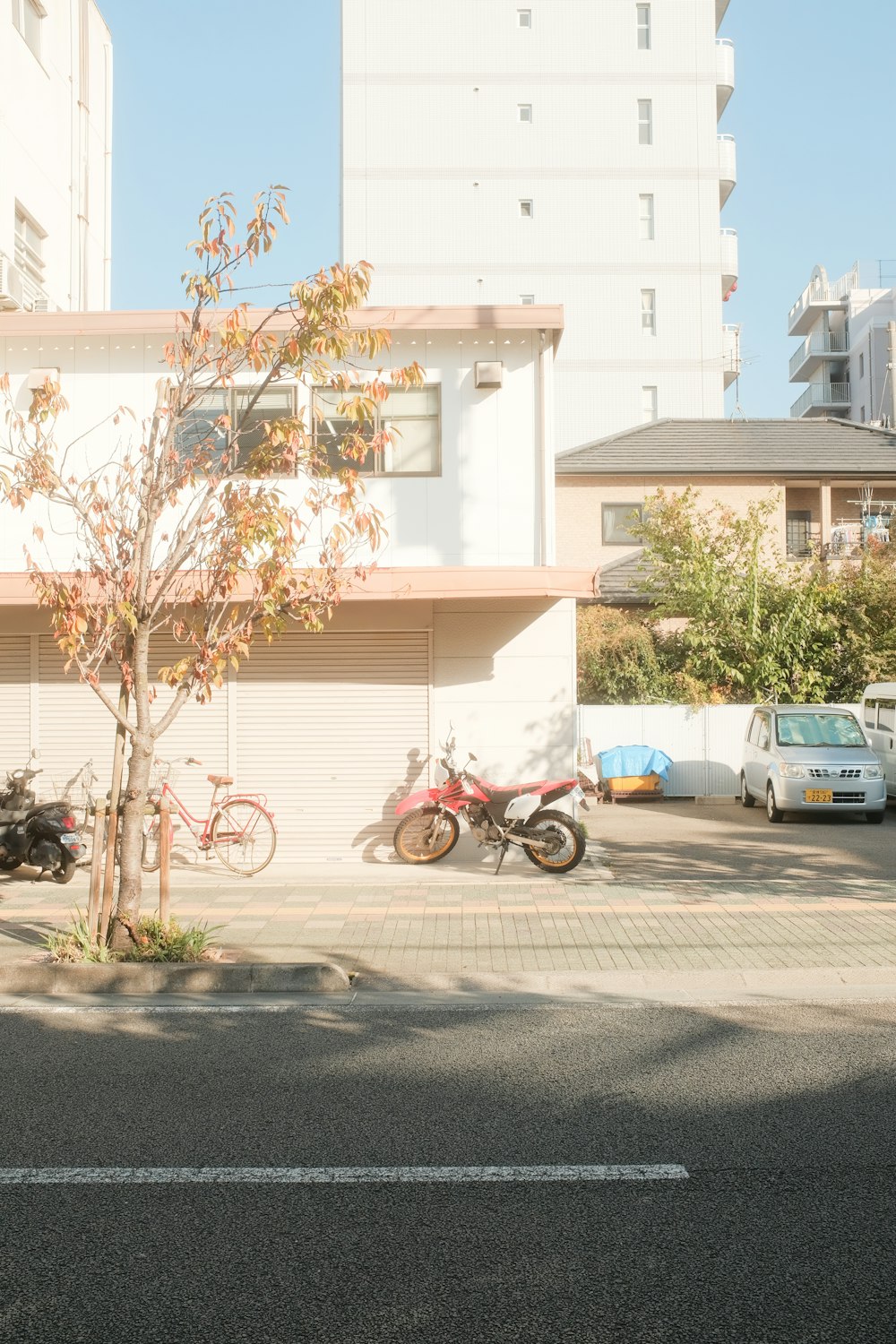 a couple of bikes parked next to a tree