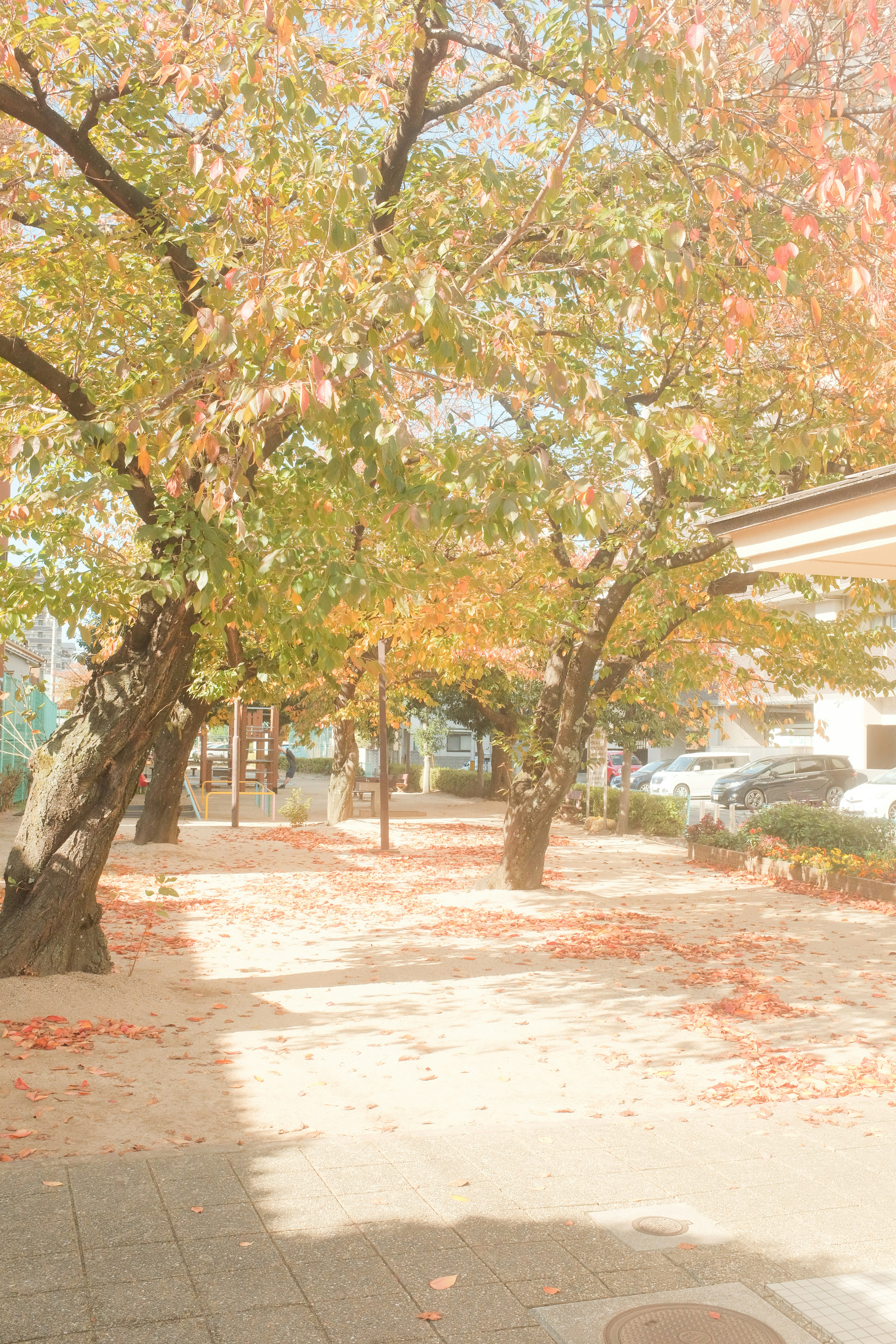 Photo by mak_jp