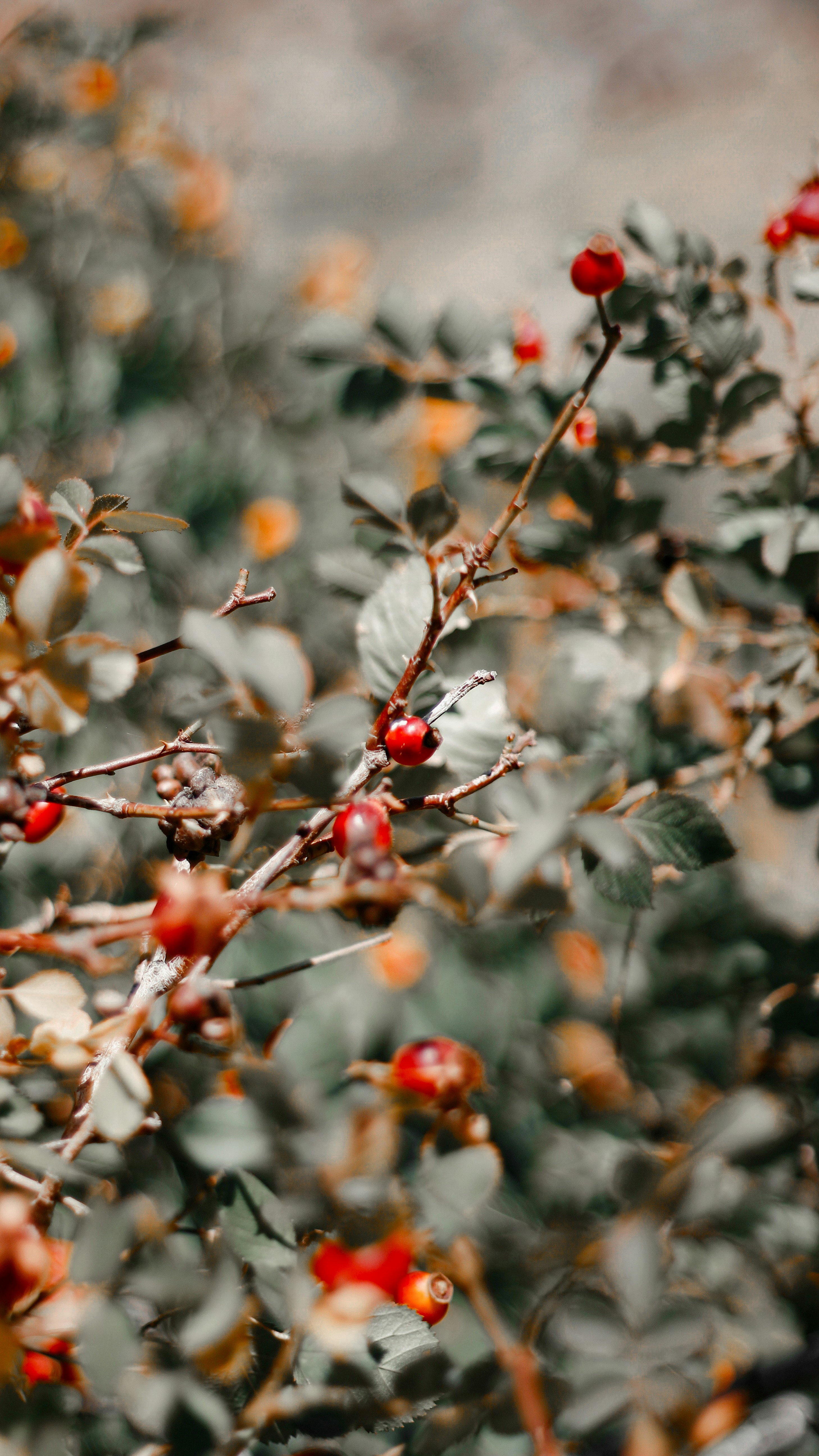 Photo by alighasemi_98_