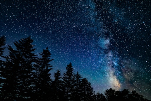 A star-filled night sky with the Milky Way galaxy visible, rising above a silhouette of tall pine trees. The sky transitions from deep blue to lighter shades as the galaxy's milky glow intensifies.