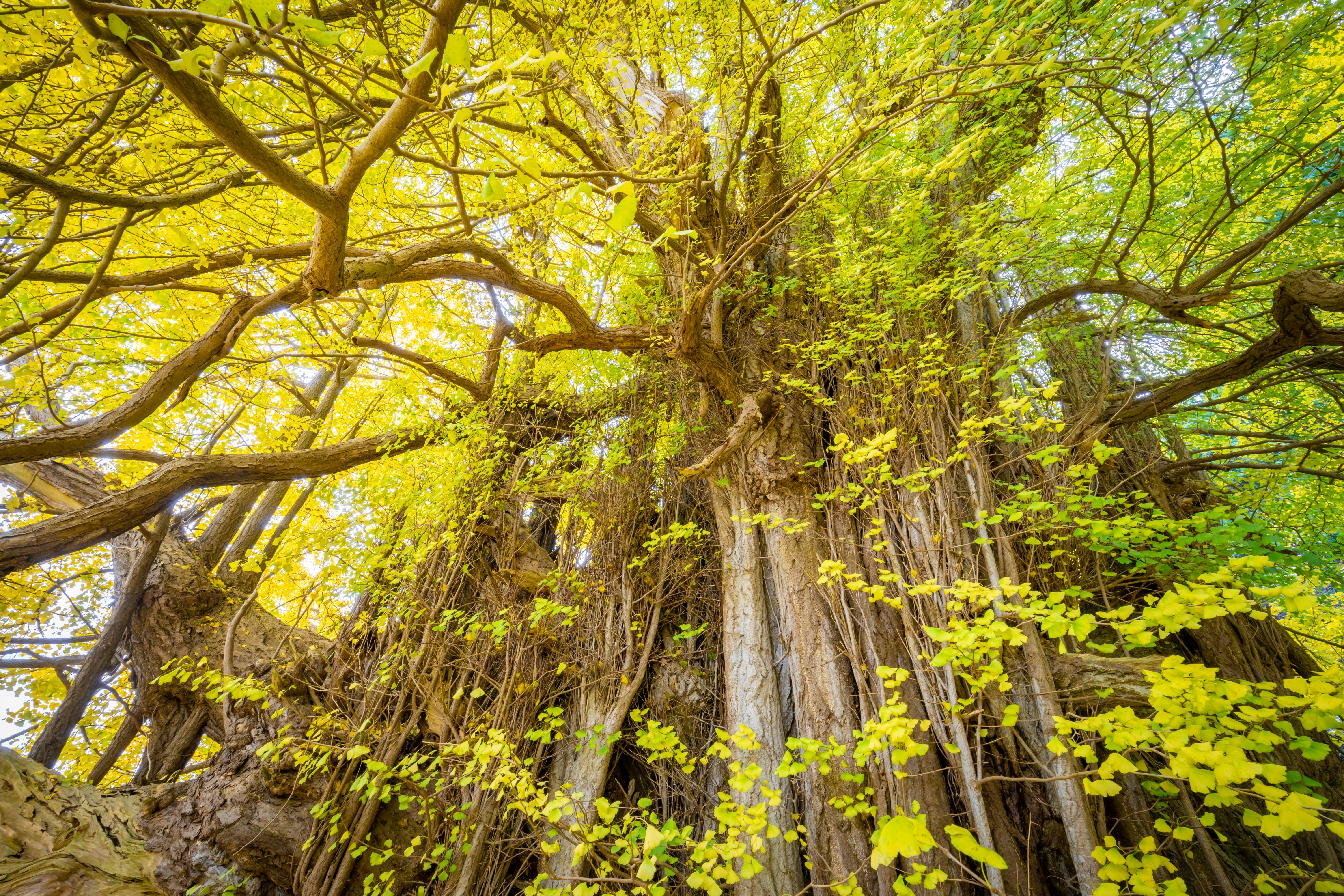 Photo by juntarou555