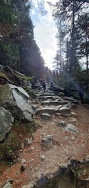 A rocky hiking trail leads uphill through a dense forest with tall trees on either side. Several people are walking along the path, suggesting a leisurely hike or nature walk. The sky is partly cloudy, allowing some sunlight to filter through the branches, casting soft shadows on the ground.