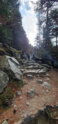A rocky hiking trail leads uphill through a dense forest with tall trees on either side. Several people are walking along the path, suggesting a leisurely hike or nature walk. The sky is partly cloudy, allowing some sunlight to filter through the branches, casting soft shadows on the ground.