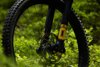 A freshly serviced mountain bike suspension ready for pickup, set against a rugged Auburn backdrop.