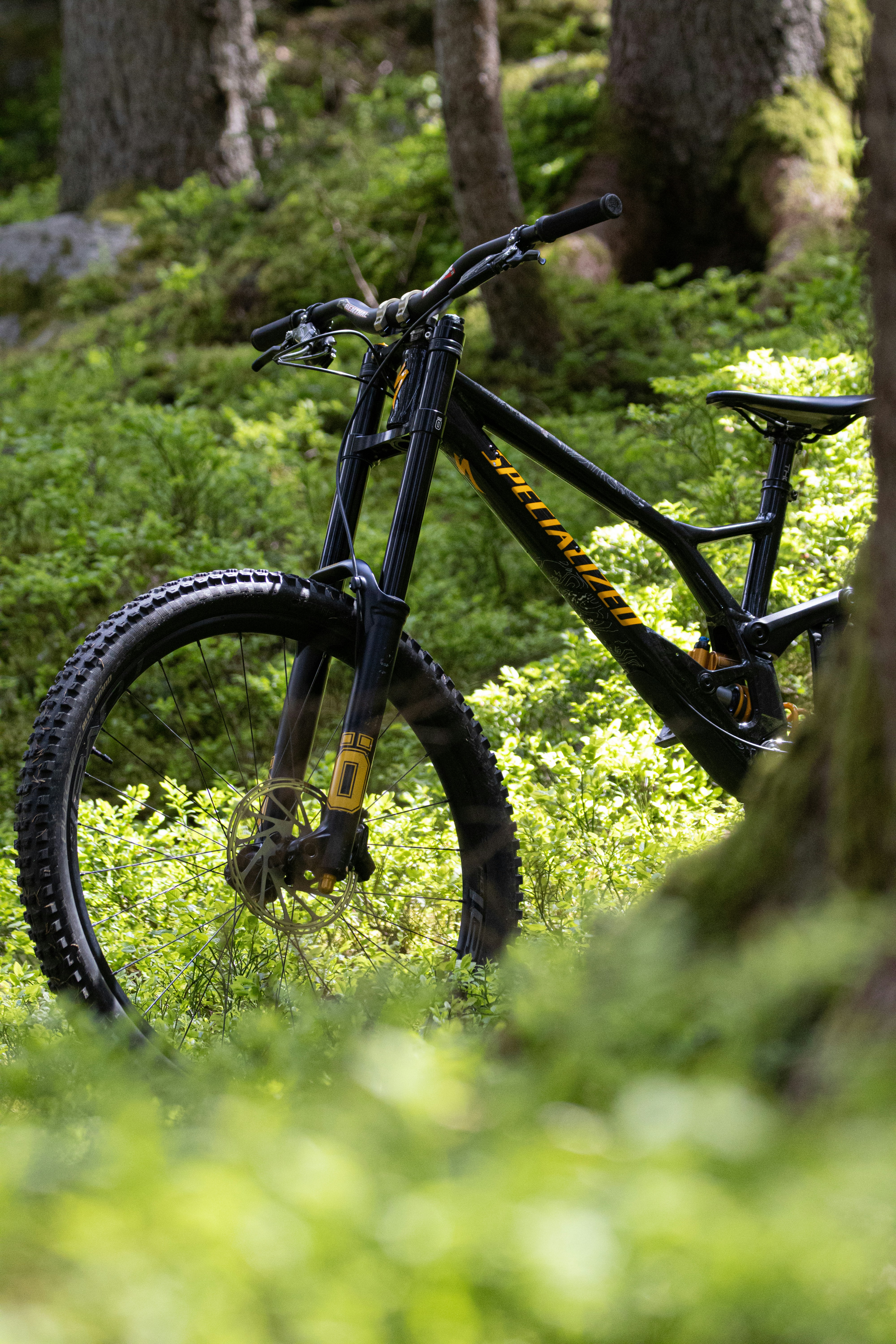 Trailblazer Mountain Bike