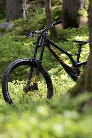 A mountain bike with a sleek black frame and yellow accents is positioned among lush green foliage in a forest setting. Sunlight filters through the trees, casting dappled shadows on the ground, while tall tree trunks add a sense of depth and natural element to the scene.