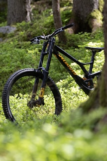 A mountain bike with a sleek black frame and yellow accents is positioned among lush green foliage in a forest setting. Sunlight filters through the trees, casting dappled shadows on the ground, while tall tree trunks add a sense of depth and natural element to the scene.