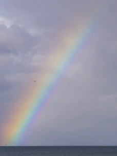 Illustration of Noah's Ark with animals boarding under a rainbow sky.