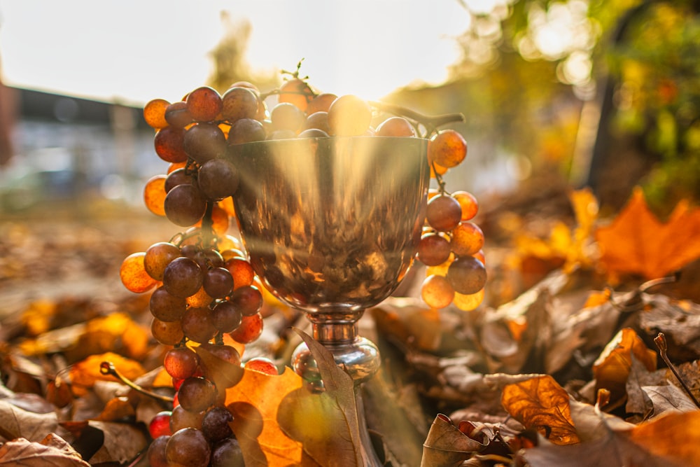a chalice sitting on top of a pile of leaves