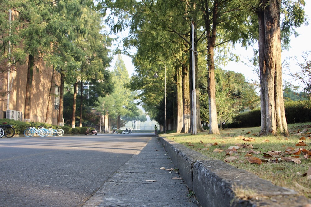 eine von Bäumen und Gras gesäumte Straße neben einem Bürgersteig