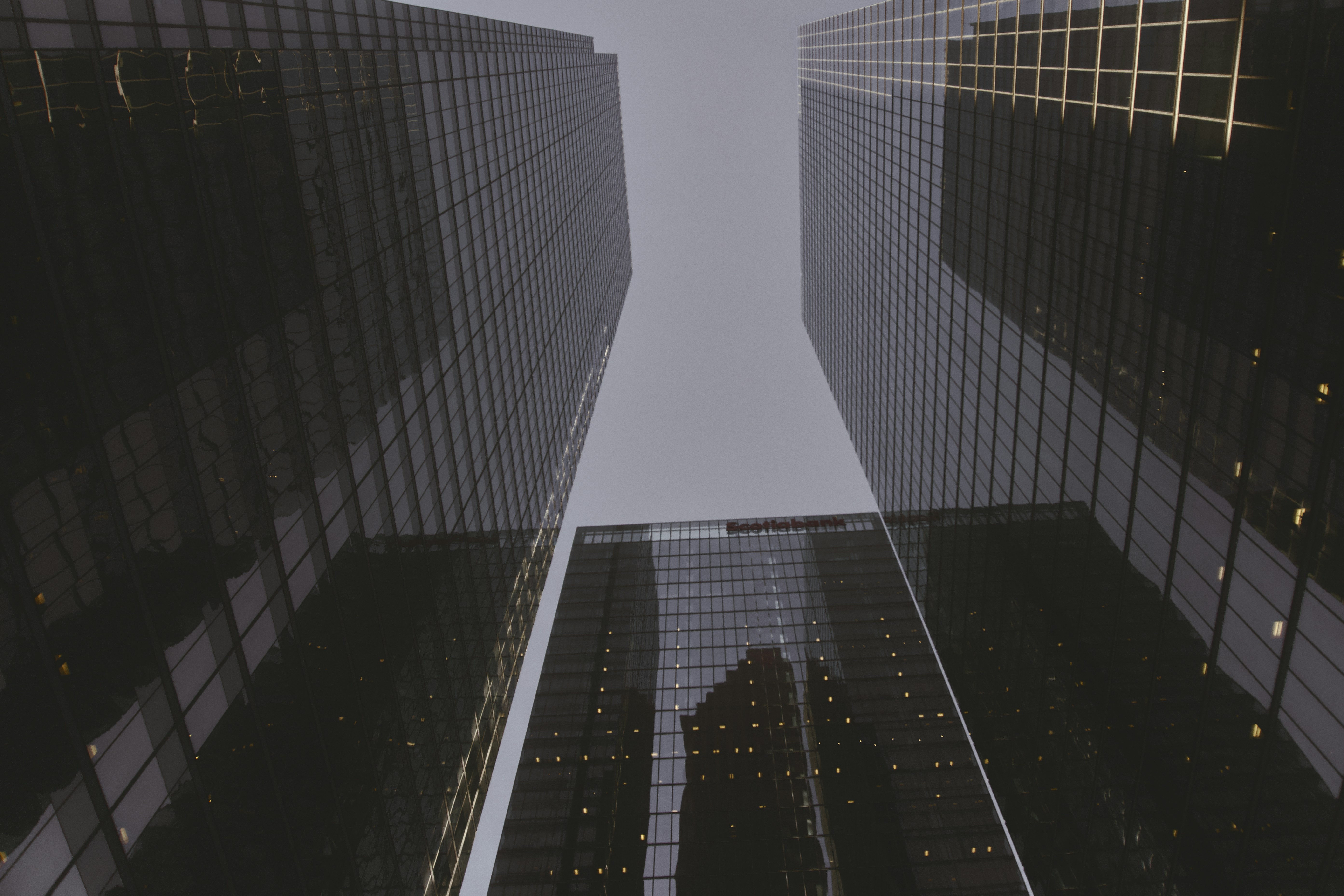 Image de Microsoft intègre Copilot IA à Dynamics 365 et Power Platform : quels gains pour votre CRM et ERP ?