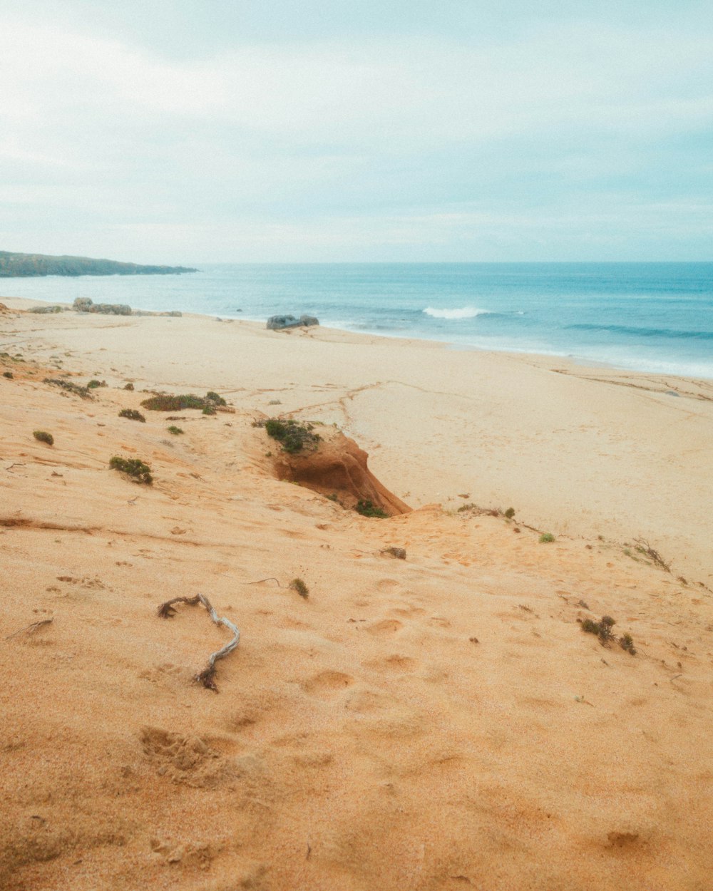 a surfboard is laying on a beach near the ocean