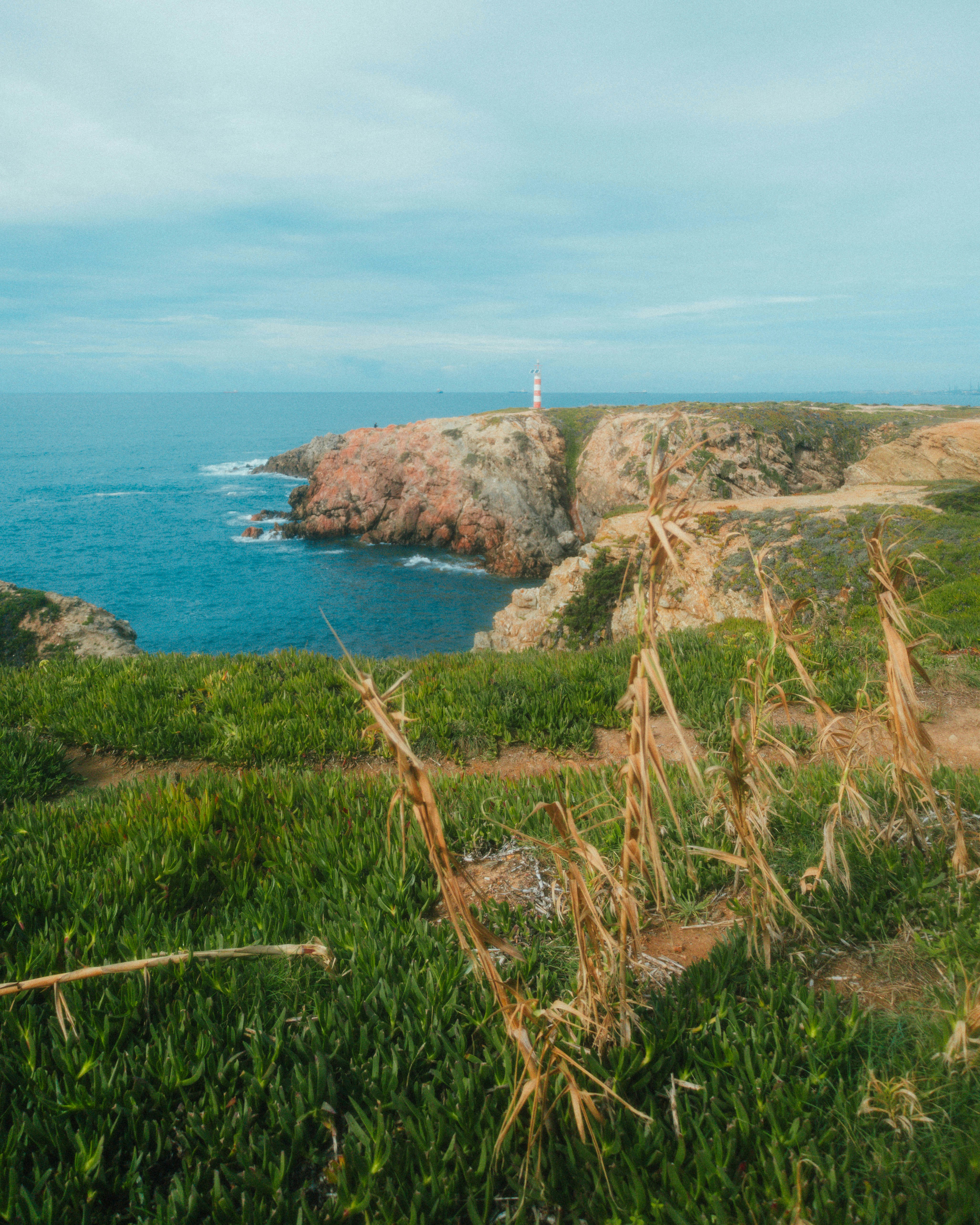 Photo by marianacbras