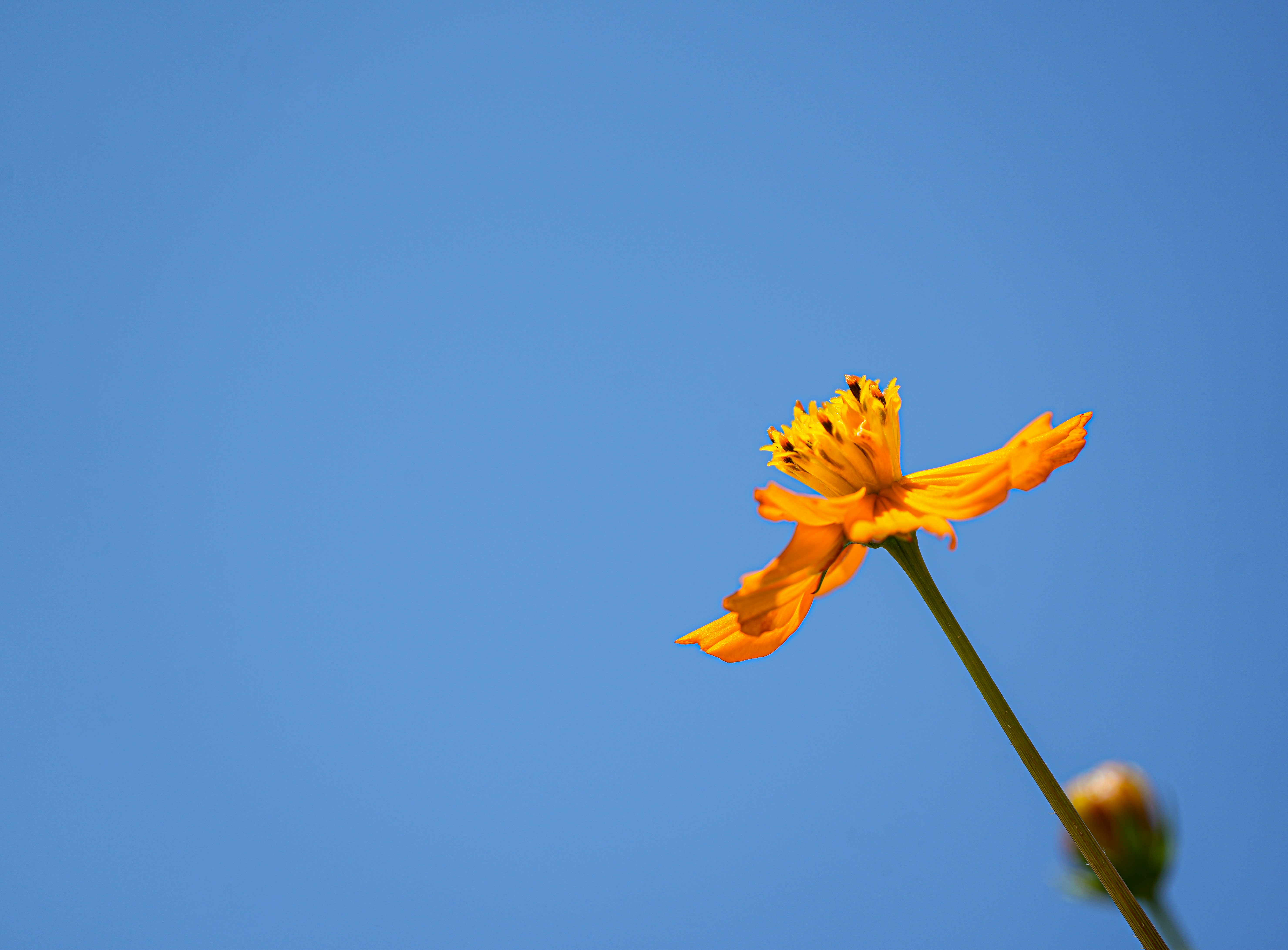 Photo by cestmoisheedy