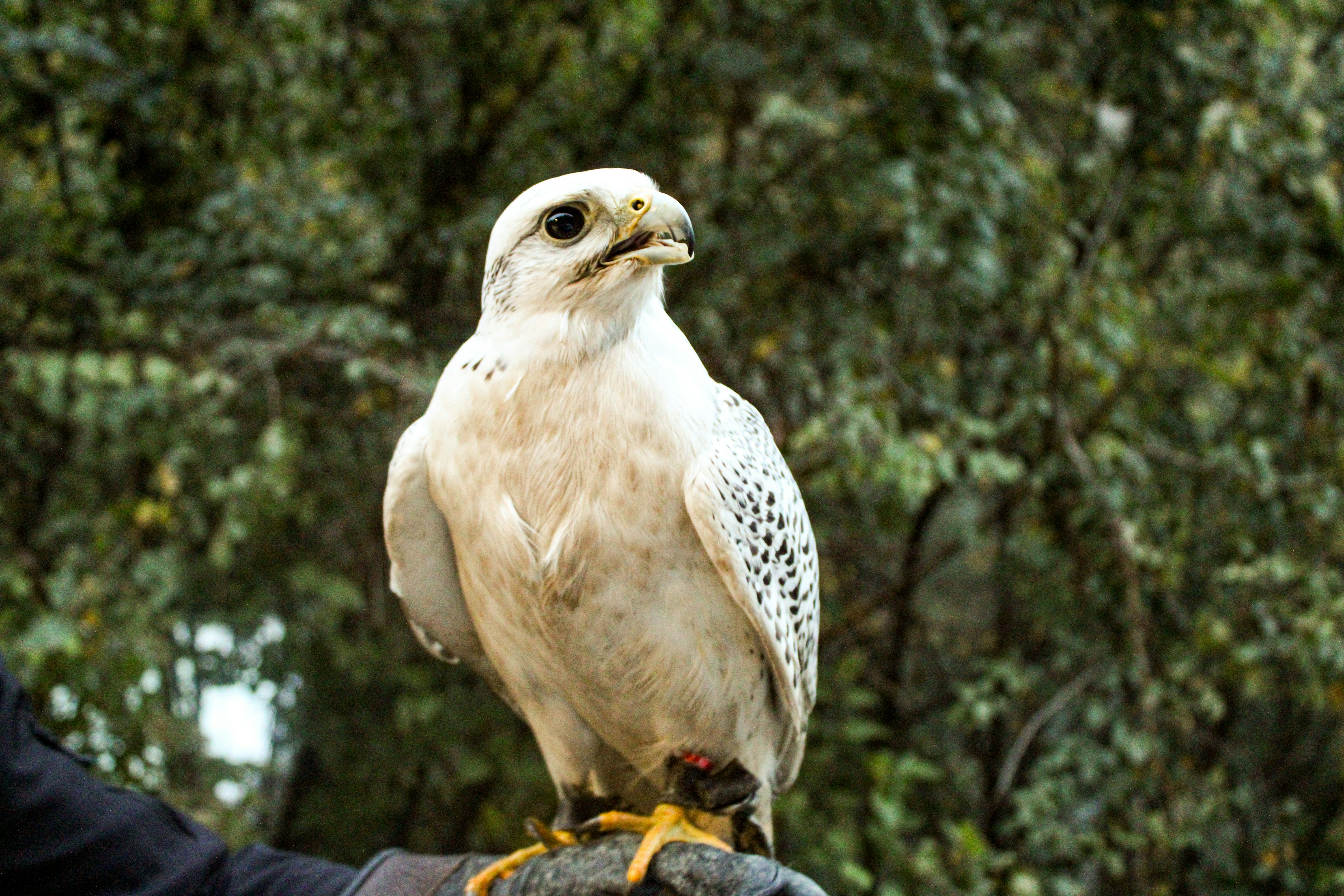 Photo by tatjana_123