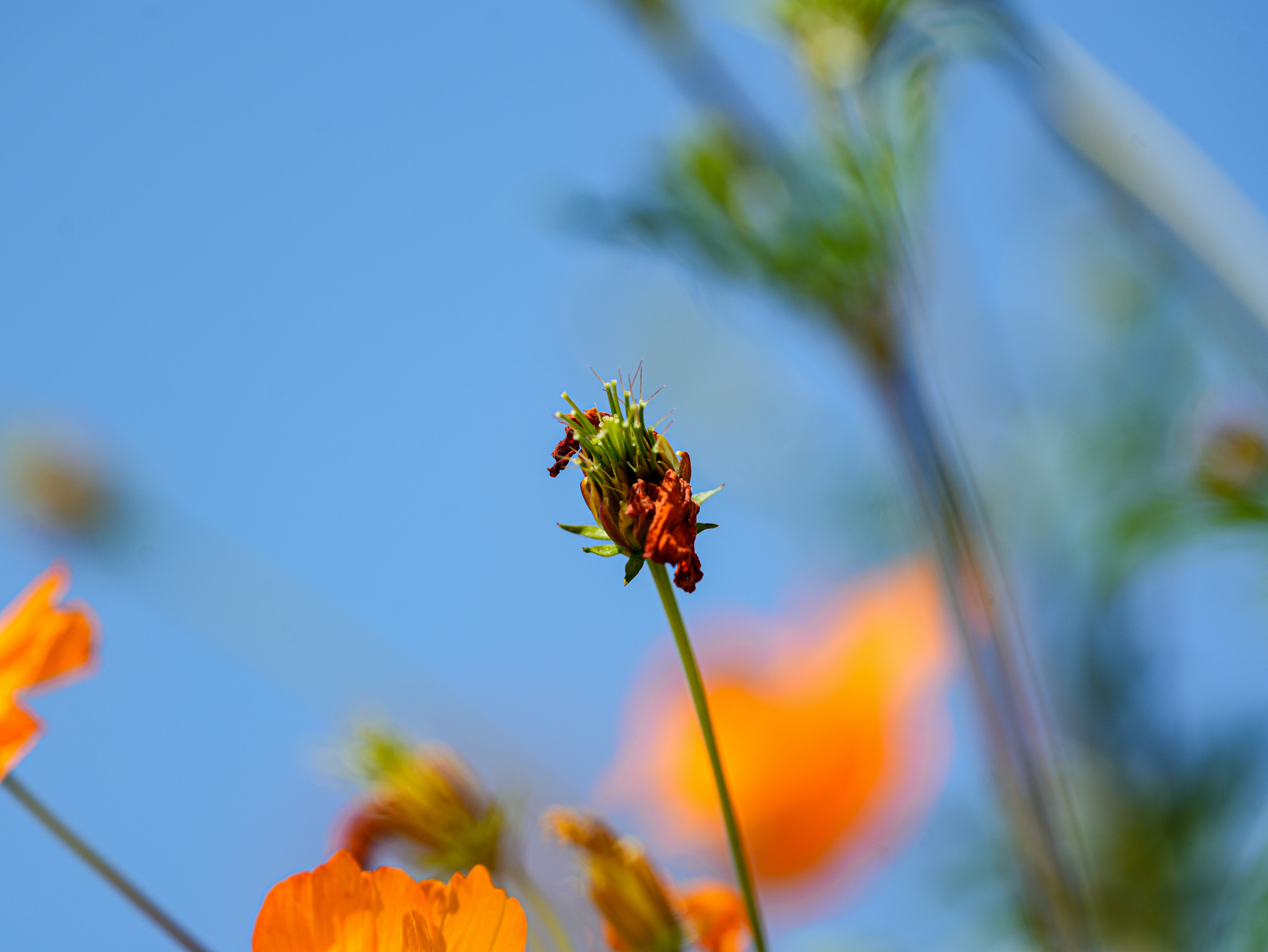 Photo by cestmoisheedy