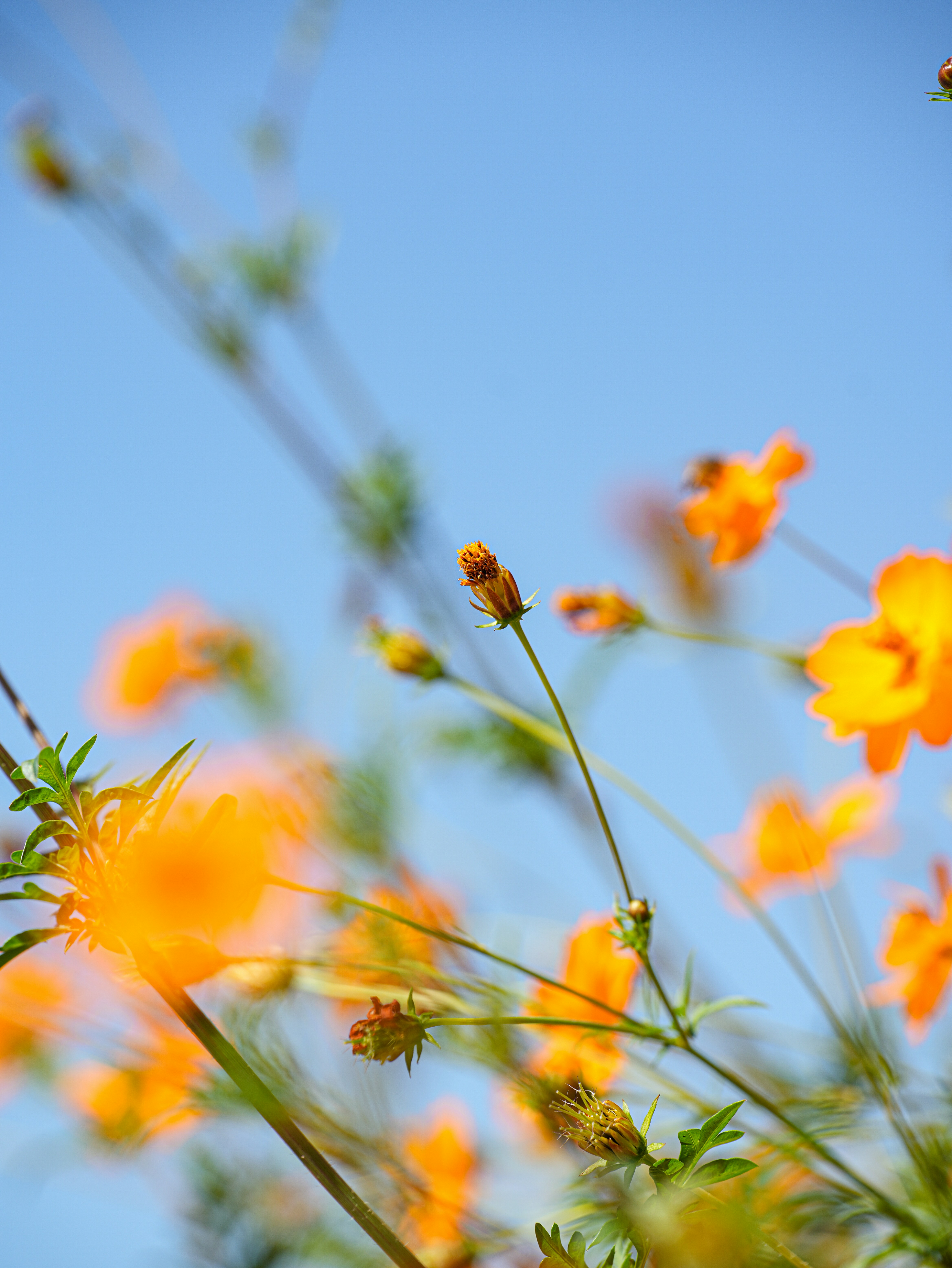 Photo by cestmoisheedy