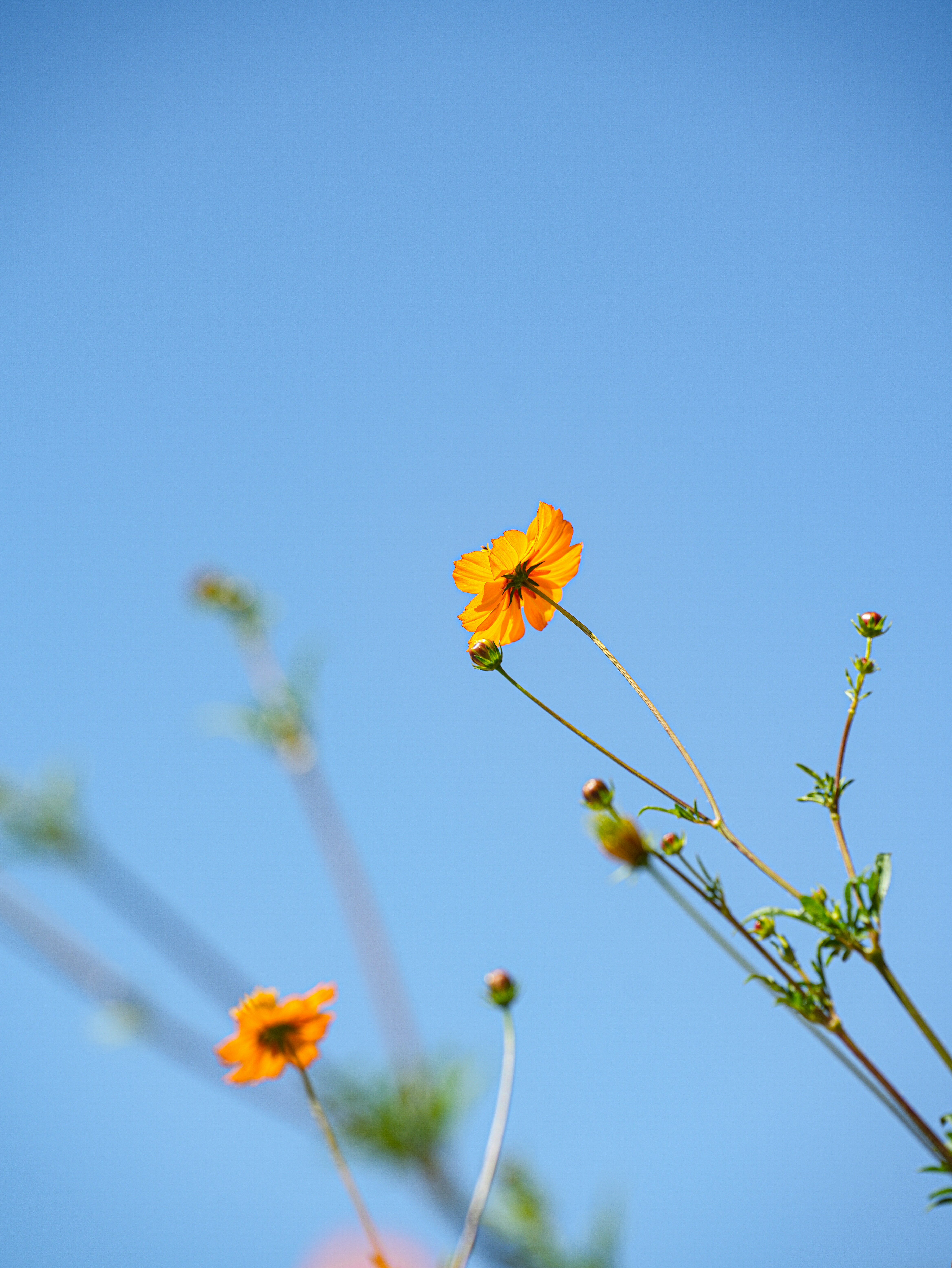 Photo by cestmoisheedy