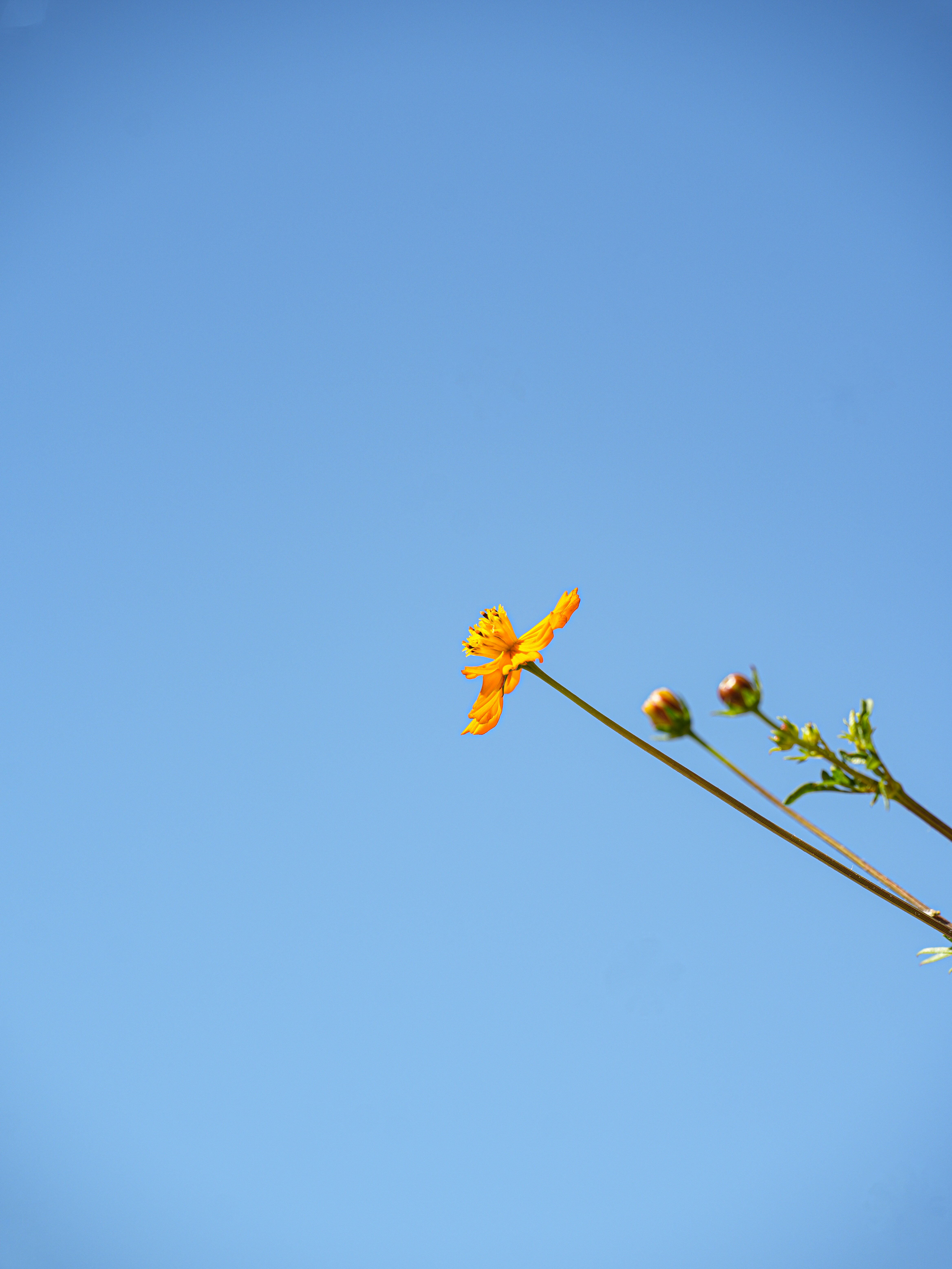 Photo by cestmoisheedy