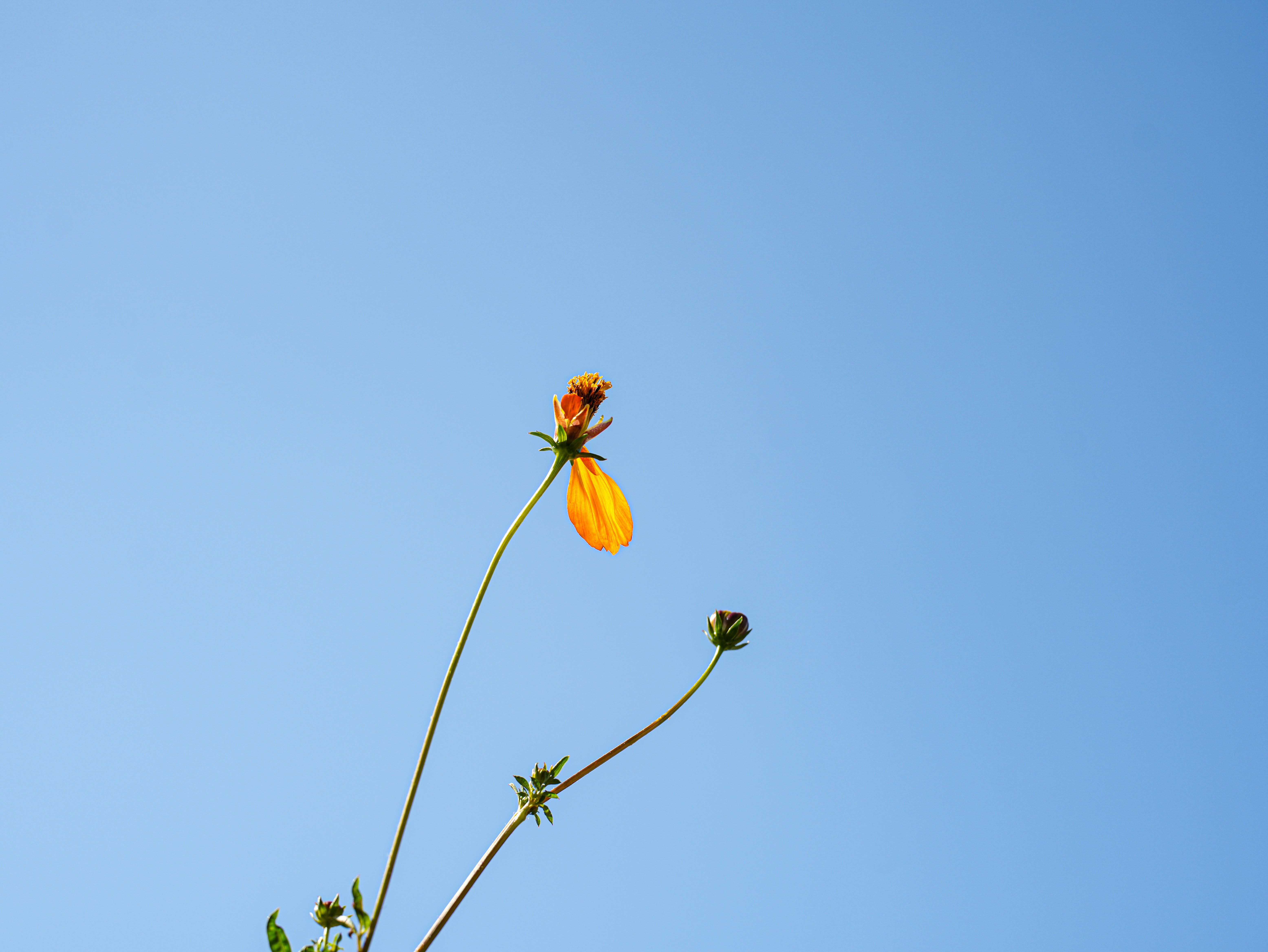 Photo by cestmoisheedy