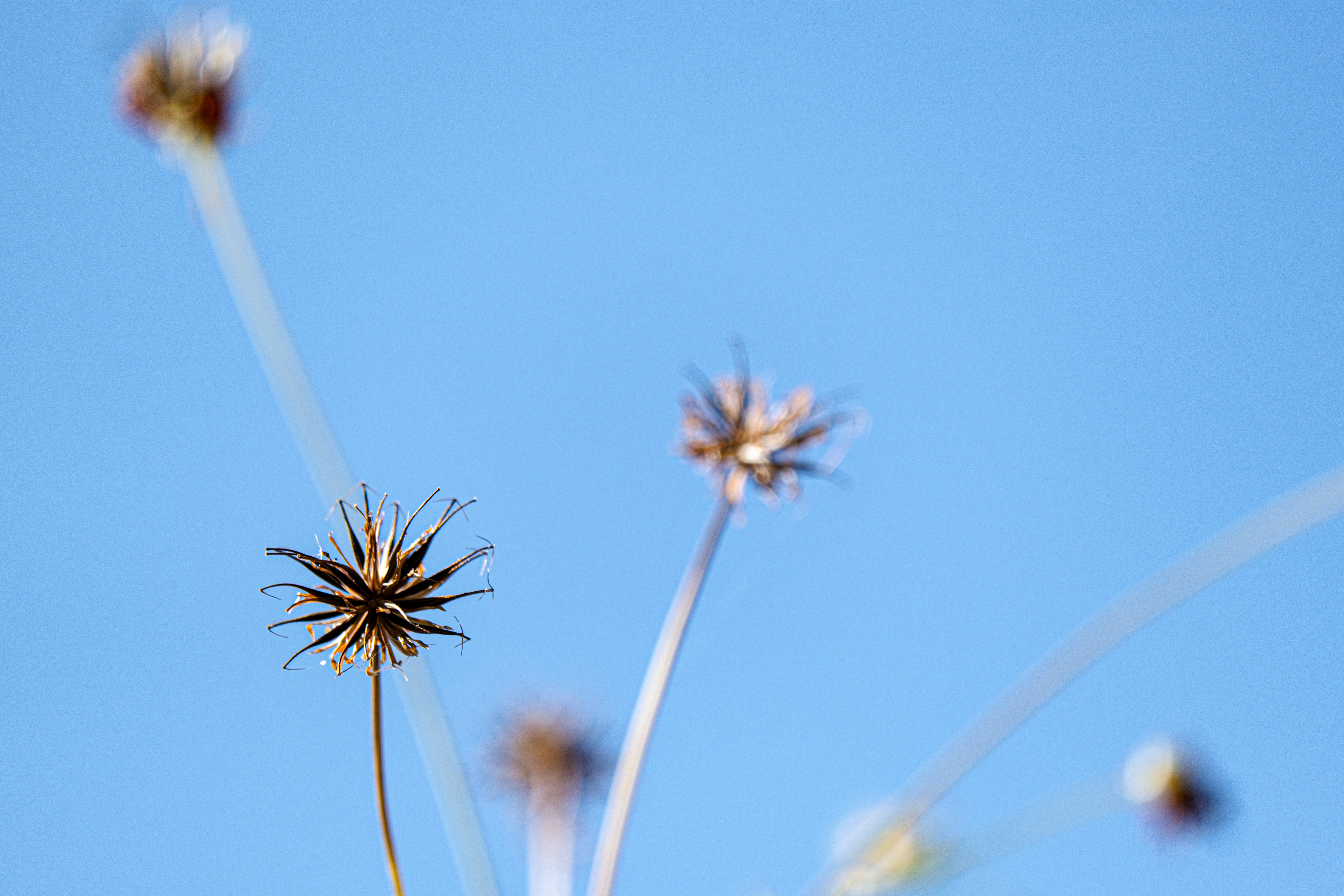 Photo by cestmoisheedy