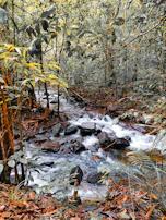 An engaging scene from a relaxing nature-themed game with soothing colors and gentle animations.