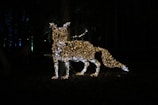 A glowing fox sculpture made of illuminated wires stands in a dark outdoor setting. The intricate wireframe construction is lit up with golden lights, highlighting the shape and features of the fox against a backdrop of trees.