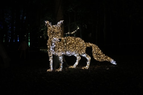A glowing fox sculpture made of illuminated wires stands in a dark outdoor setting. The intricate wireframe construction is lit up with golden lights, highlighting the shape and features of the fox against a backdrop of trees.