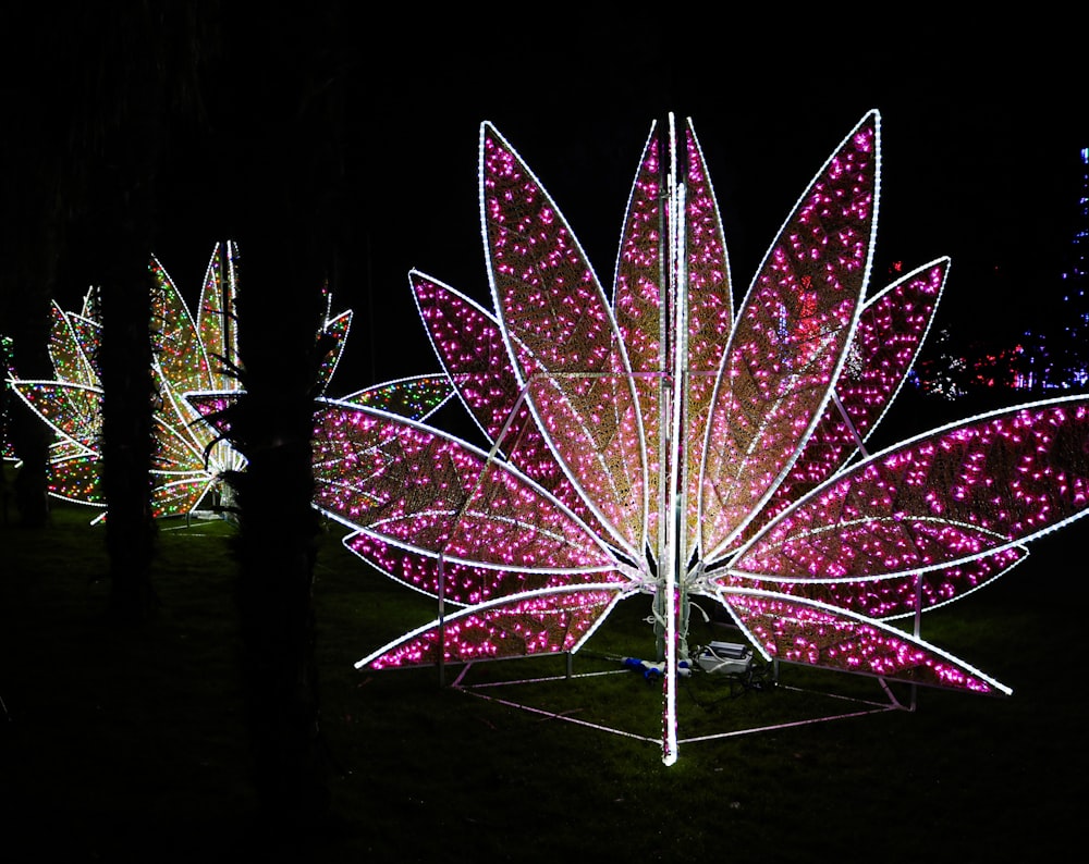 a group of lights in the shape of a flower