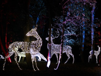 Illuminated deer-shaped figures are positioned among trees, with sparkling lights outlining their forms. This nighttime scene creates a magical atmosphere with colorful lighting highlighting the surrounding foliage.