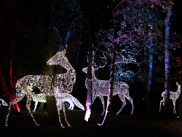 Illuminated deer-shaped figures are positioned among trees, with sparkling lights outlining their forms. This nighttime scene creates a magical atmosphere with colorful lighting highlighting the surrounding foliage.