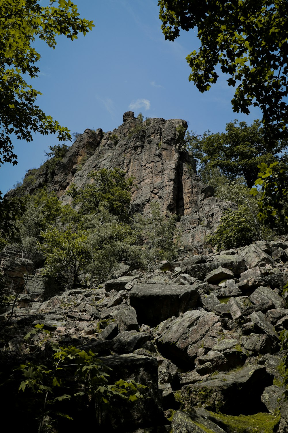 a large rock outcropping in the middle of a forest
