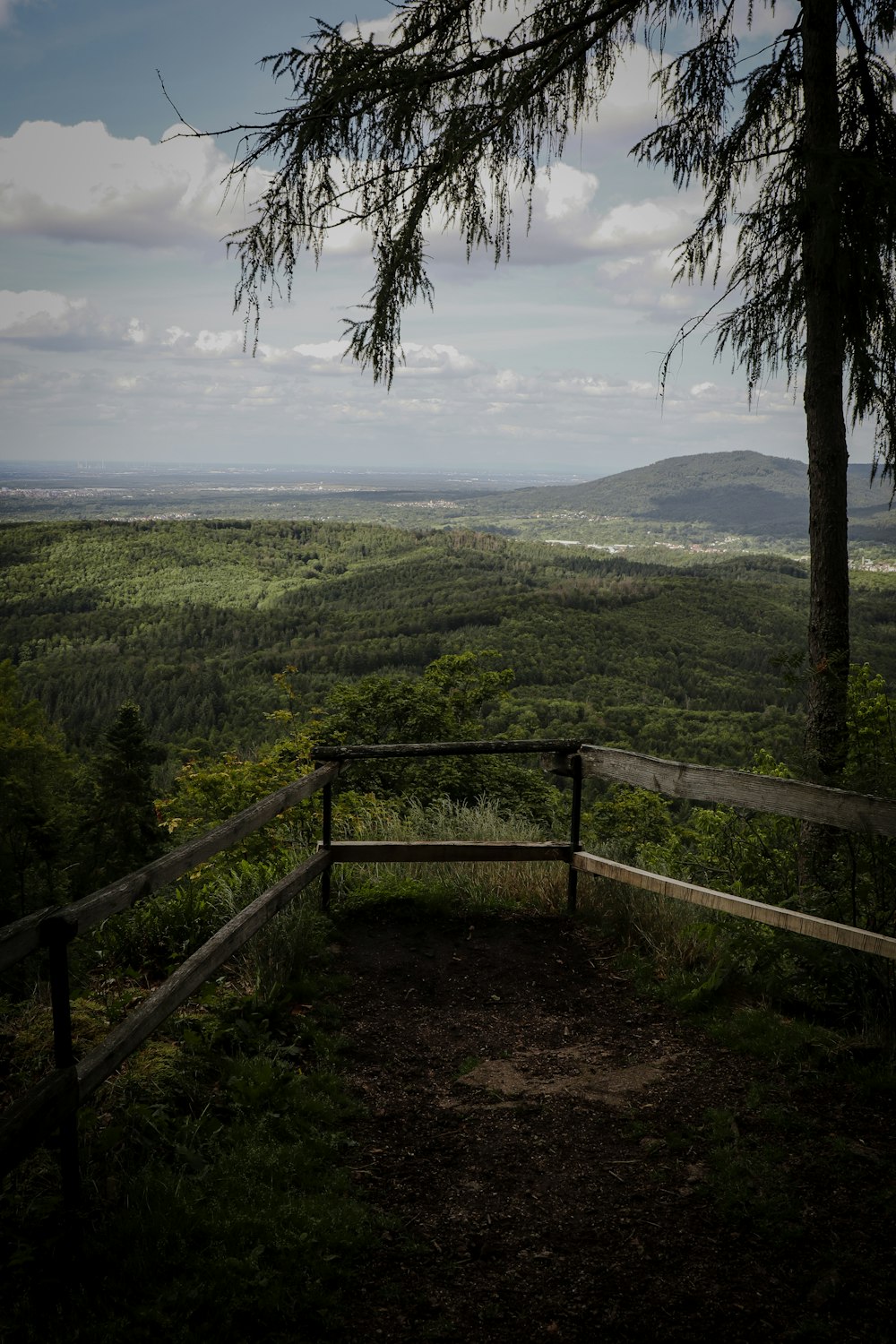 a wooden bench sitting on top of a lush green hillside