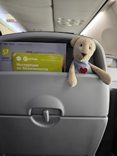 A plush toy bear with a striped shirt and heart emblem is tucked into the back of an airplane seat pocket. The pocket also contains a safety instruction card and magazine with the S7 Airlines logo visible. The aircraft interior is visible, with the overhead bin and lighting in the background.