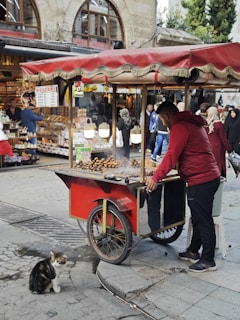 A bustling street market scene featuring a vendor in a red jacket operating a mobile food cart selling roasted chestnuts. The cart has a red canopy and is situated in front of a busy market stall. Several people are seen walking and shopping, with a variety of goods displayed in the background. A cat sits curiously on the pavement near the cart.