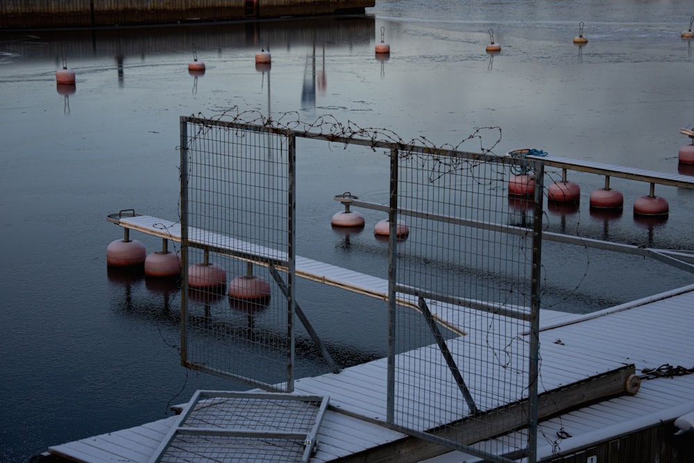 a body of water with a bunch of buoys in it