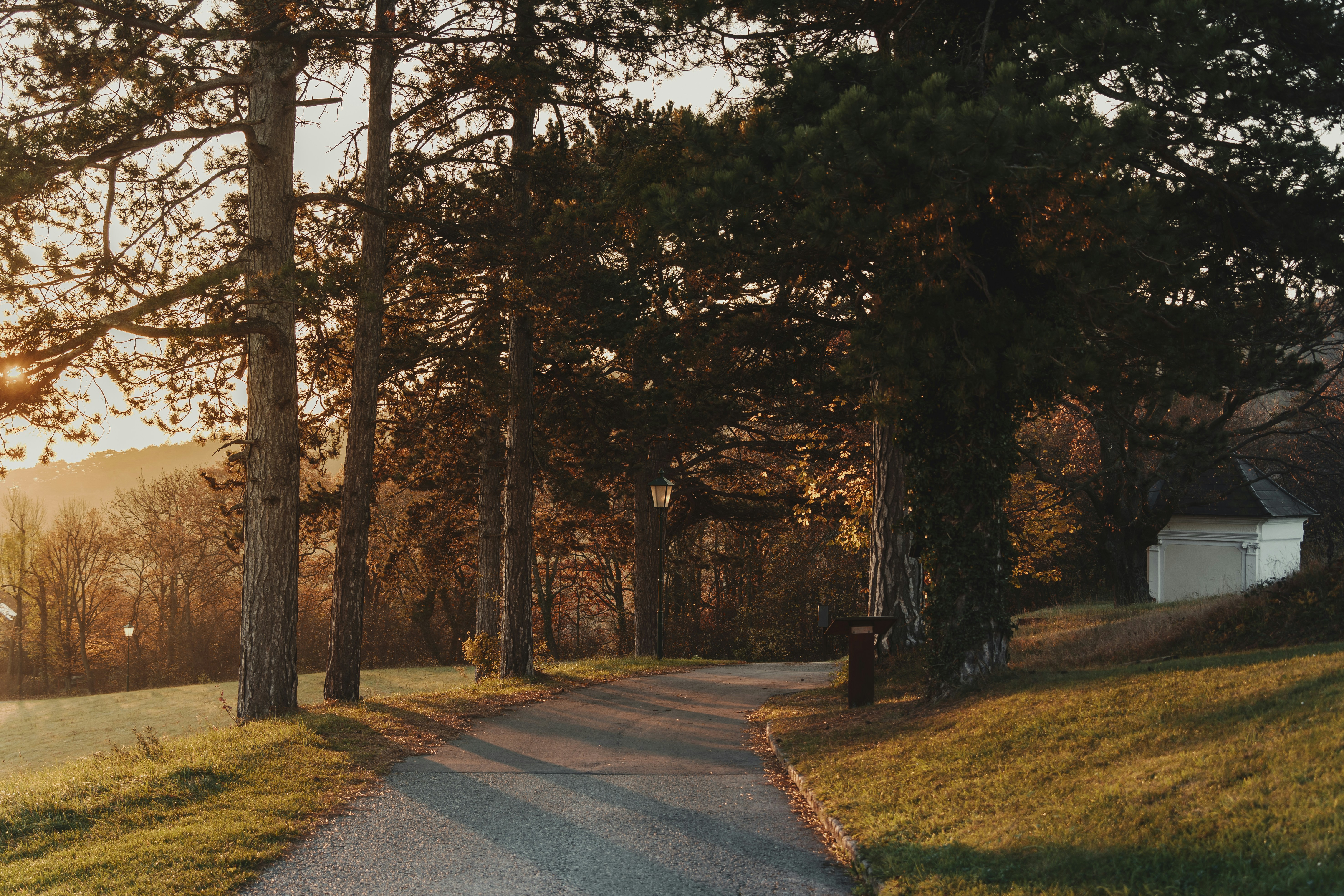 morning walk nature, wallpaper, 8 Manfaat Jalan Pagi untuk Wanita yang Menyehatkan 5