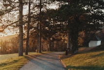 A winding path meanders through a serene, sunlit forest landscape with tall trees casting long shadows. The warm glow of the setting sun filters through the branches, illuminating the grassy area and a small building partially hidden among the trees. A sense of tranquility is conveyed through the gentle play of light and shadow.