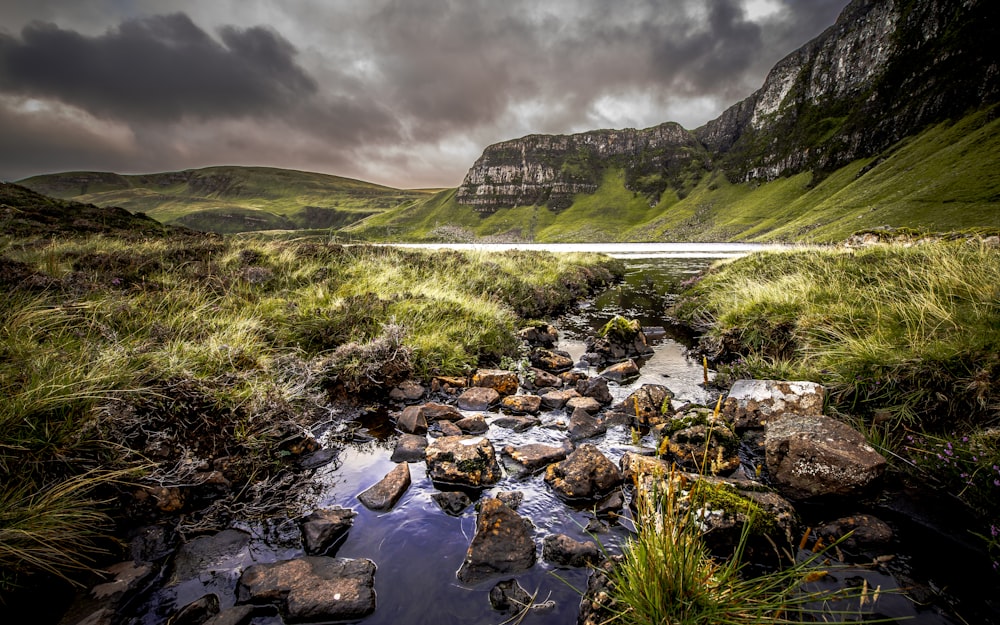 a stream running through a lush green valley