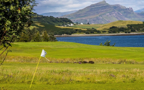 a golf course with a flag on the green