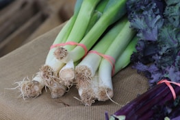 A bundle of fresh leeks with elastic bands are placed on a burlap cloth next to a pile of leafy green kale. The leeks are vibrant with light green to white stalks and visible roots. The kale has deep purple and green leaves, creating a contrast against the neutral background.