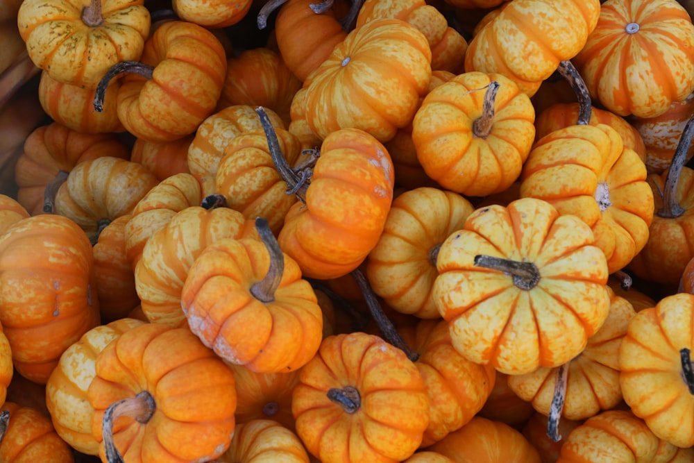 a pile of small pumpkins sitting next to each other