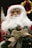 A festive decoration featuring a Santa Claus doll with a white beard and red hat, holding a small Christmas tree adorned with a golden ribbon and the words 'Merry Christmas' in gold lettering. The background includes blurred holiday ornaments.