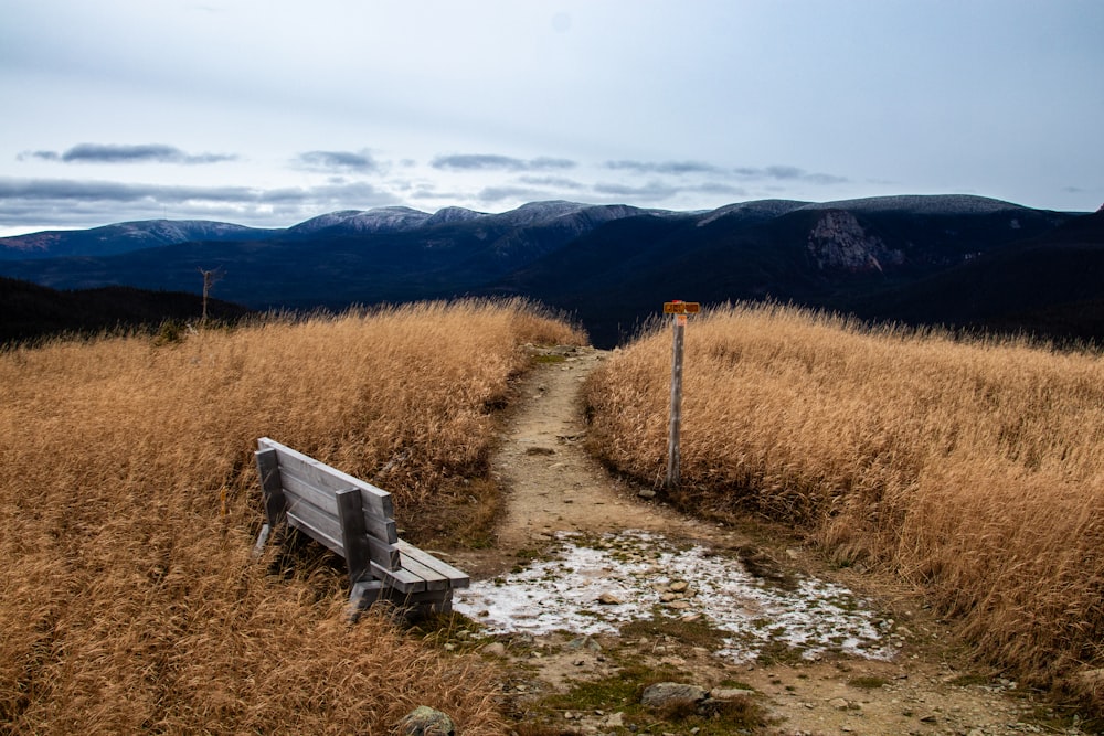 a wooden bench sitting on top of a grass covered field