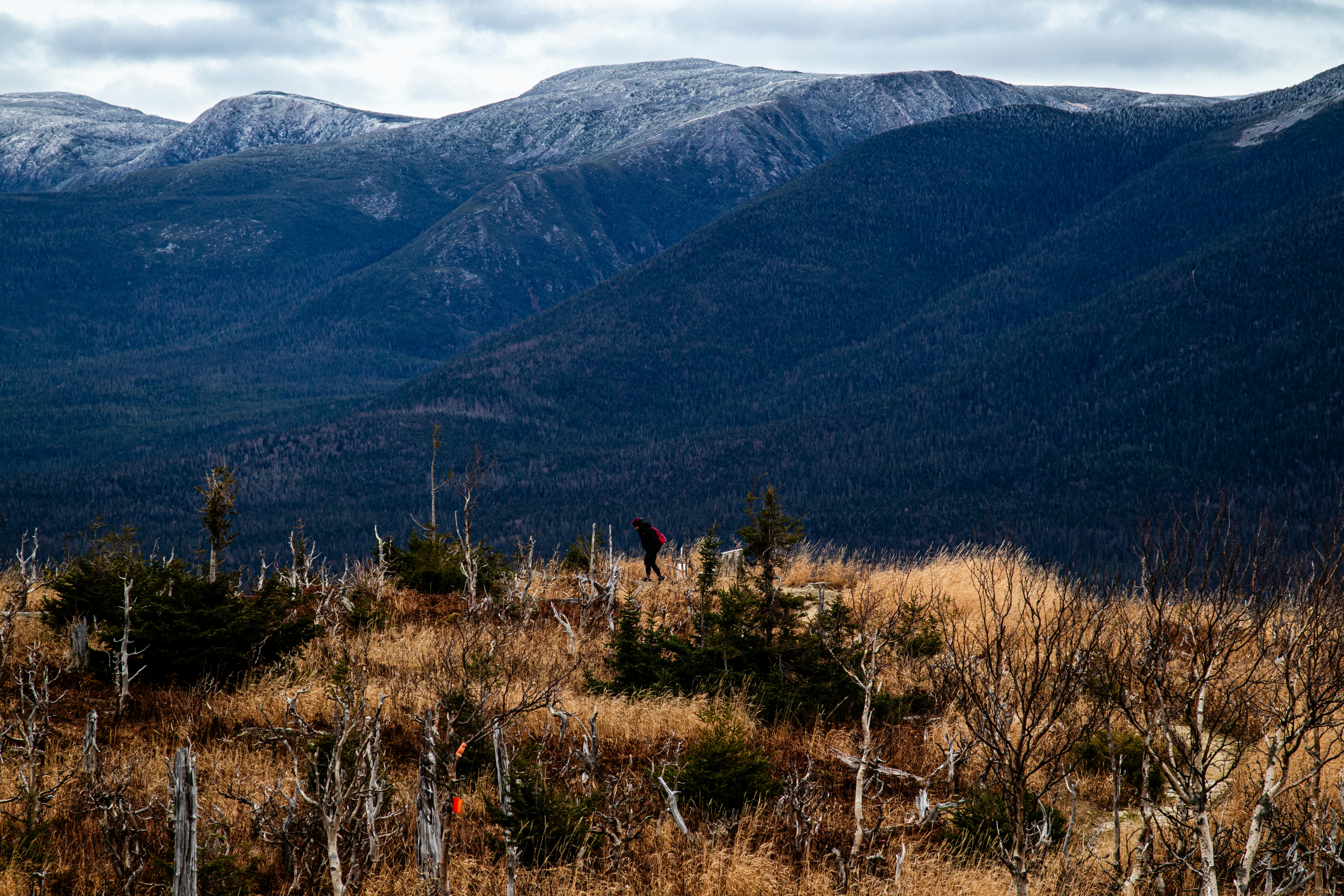 a person standing in a field with mountains in the background
