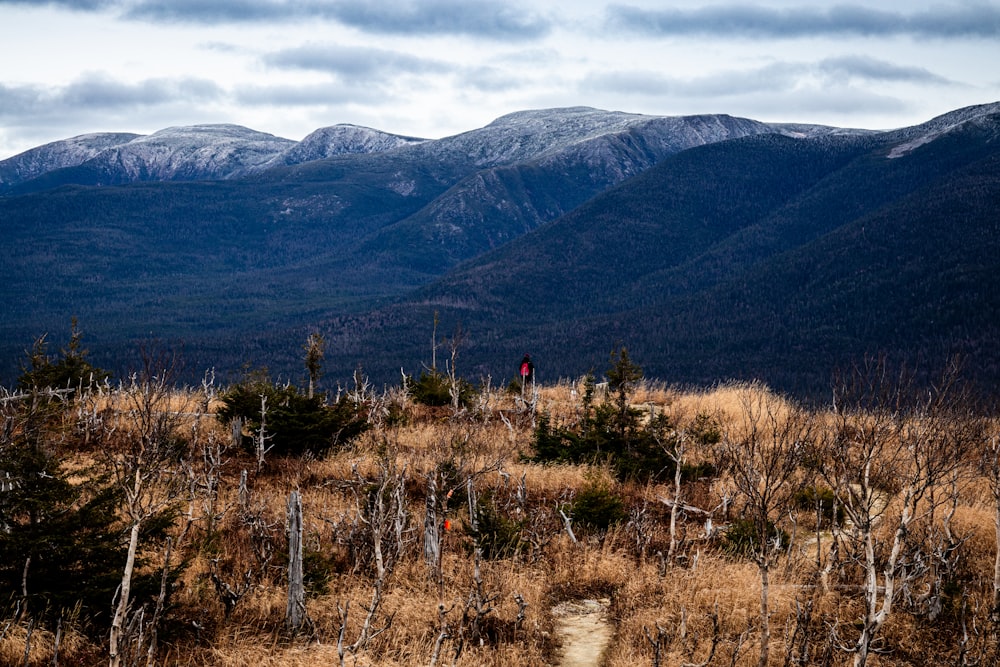 a person walking on a trail in the mountains