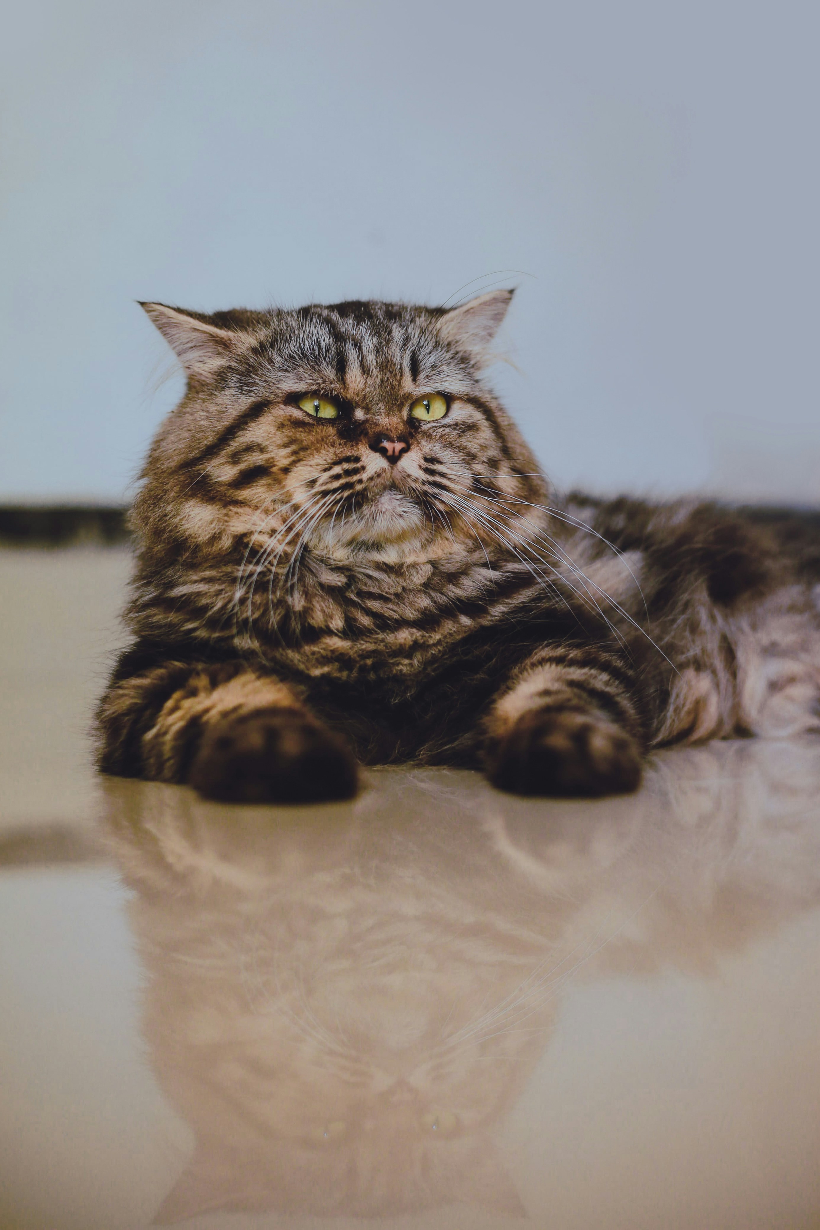 Photo by jithujith123