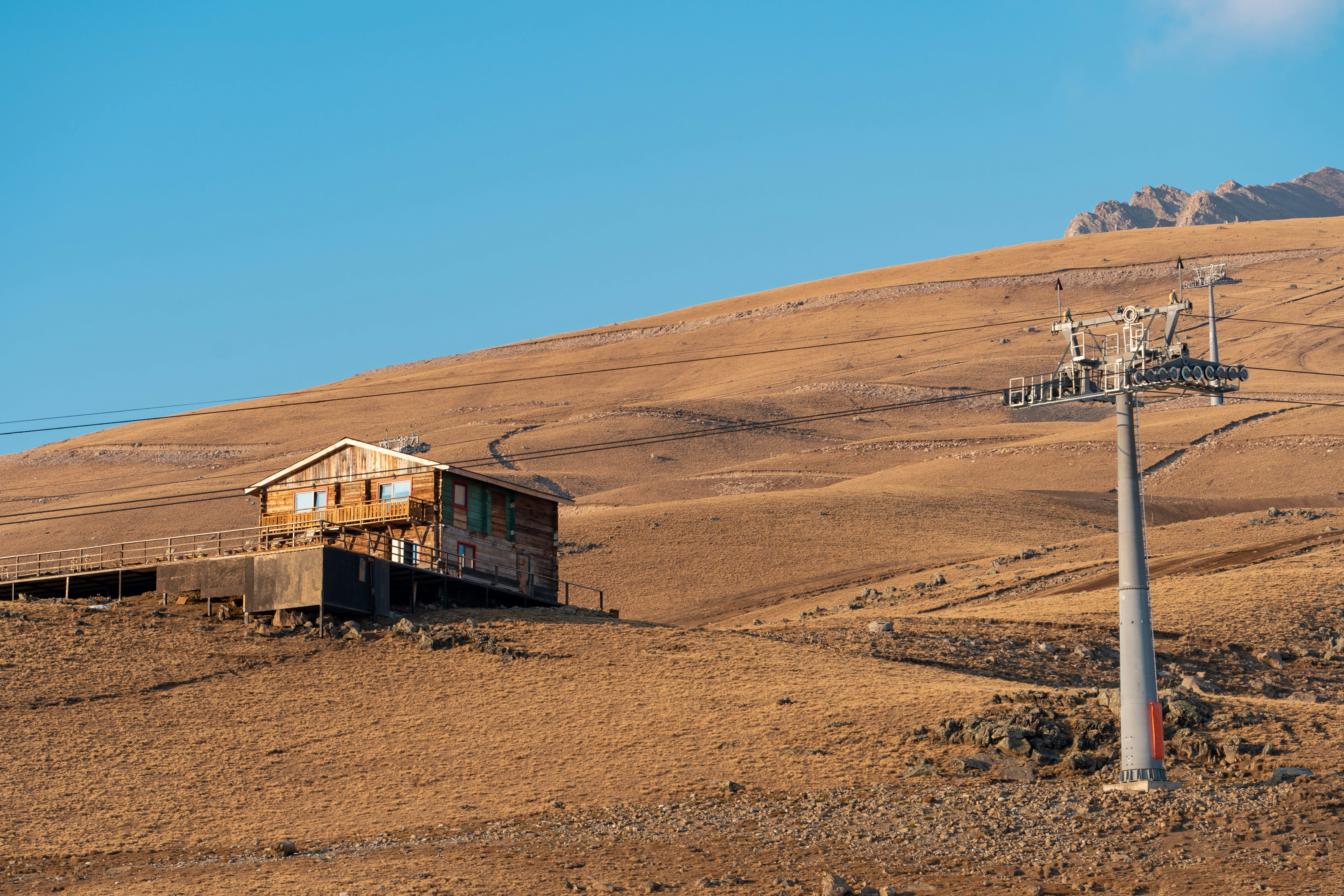 Photo by albert_canite