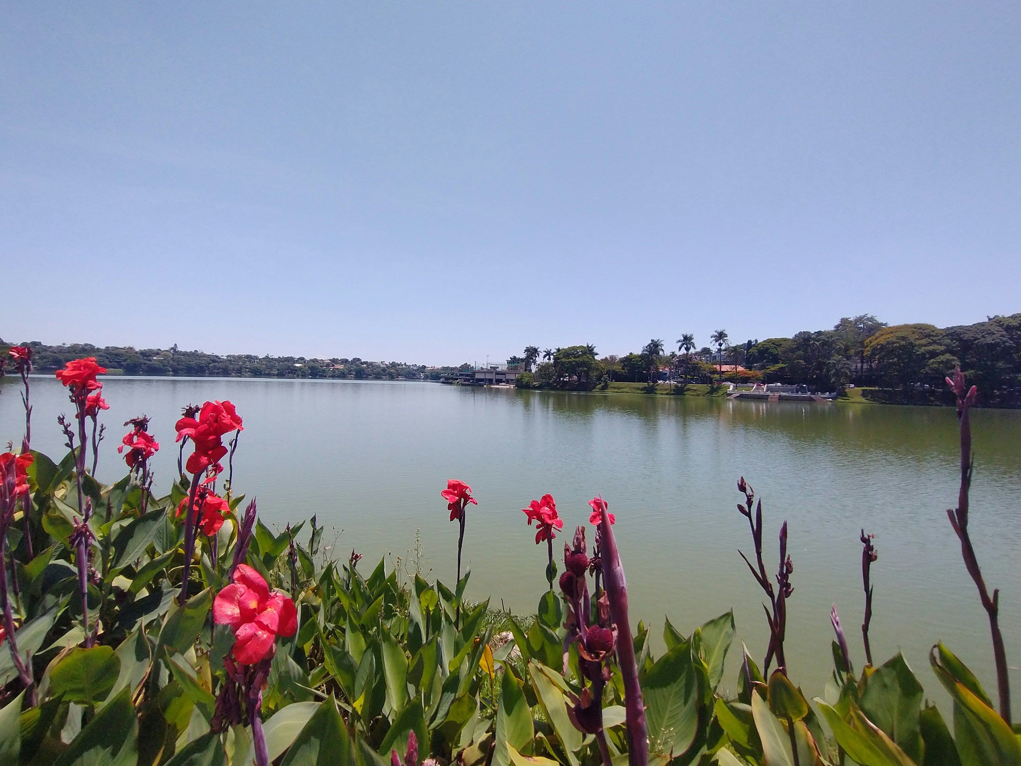 Photo by alessoneventurim